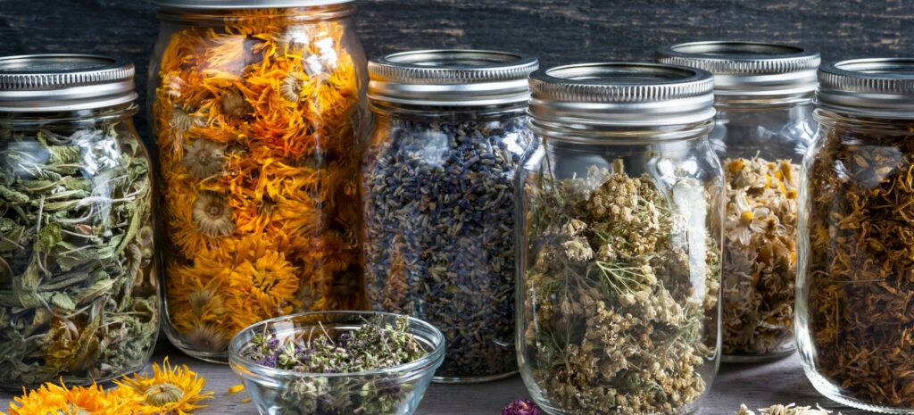 phythothrapie plants against stress