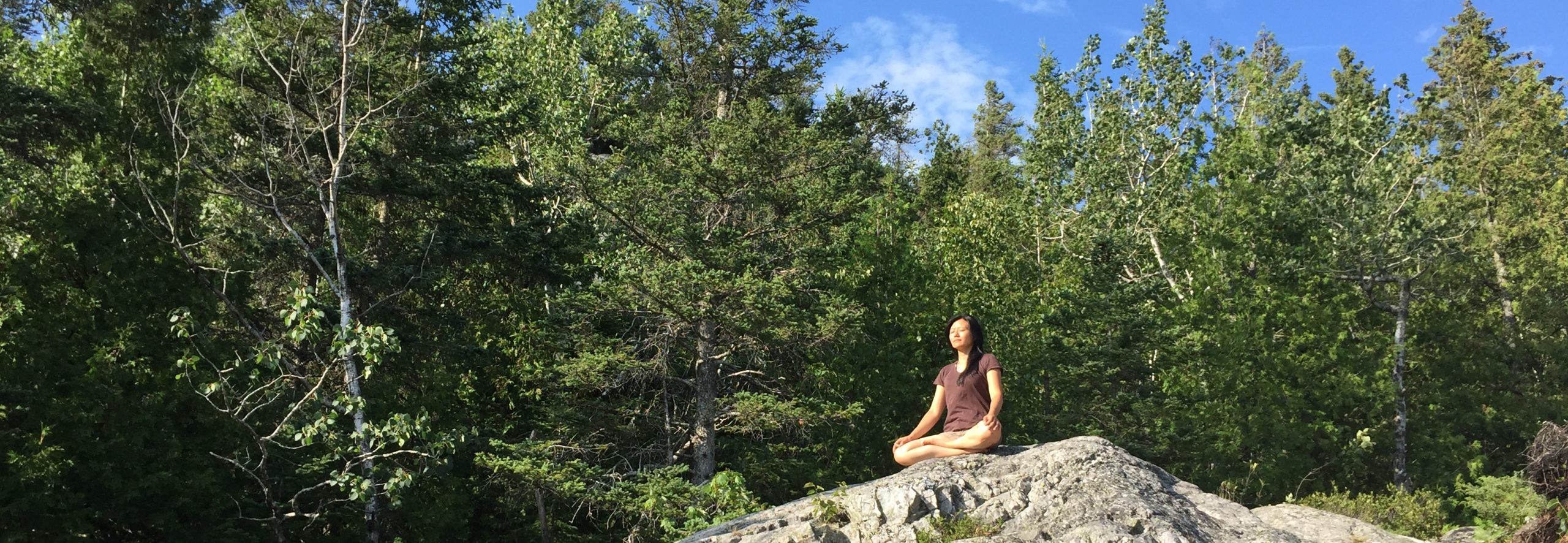 Montreal : introduction to the creative meditation