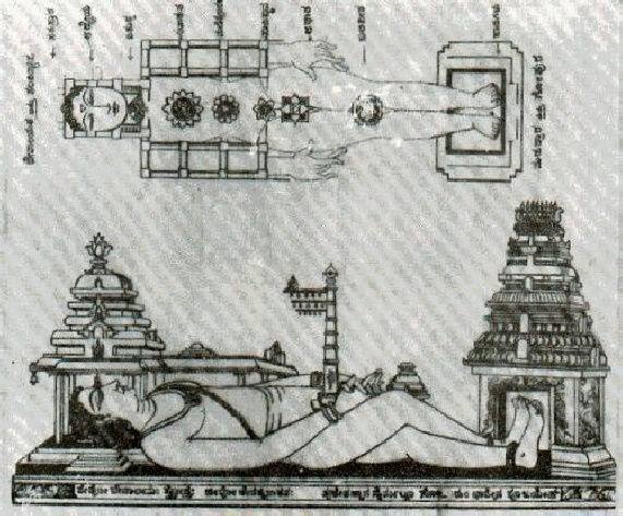 body temple comparison
