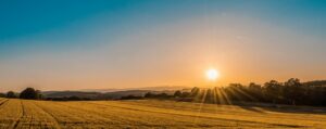 sunrise surya blog