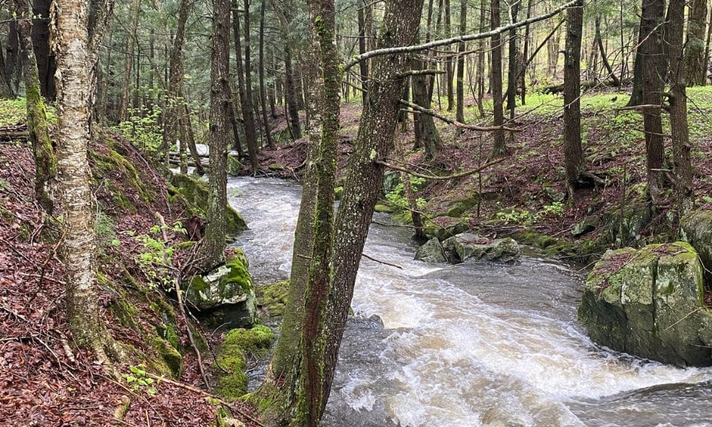 Retraite Estrie avec Surya petite riviere