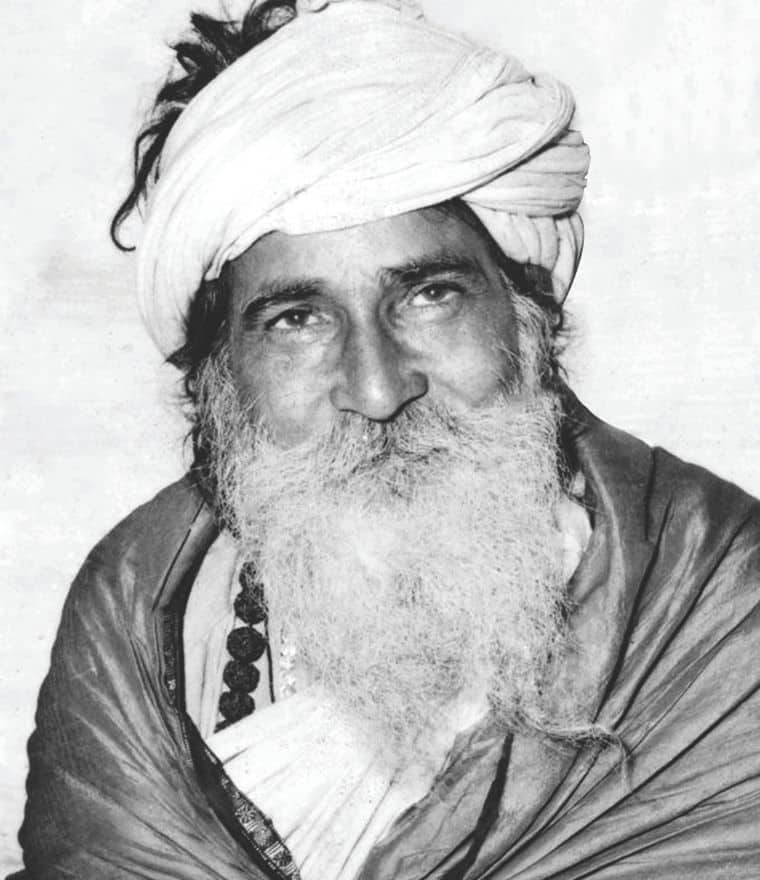 yogi 1