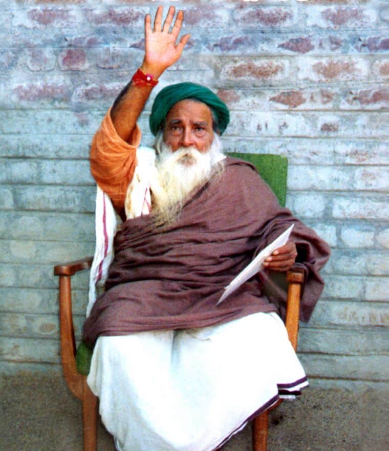yogi 2